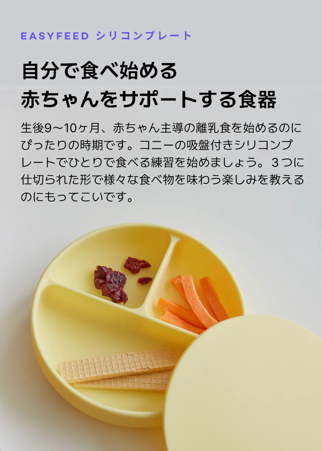 Konny EasyFeed シリコンプレート 吸盤付き